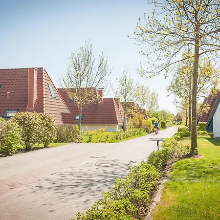 Cuxlandhotel 121 酒店